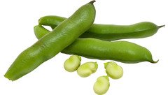 Tuinbonen per 100 gram