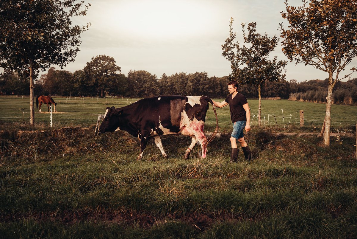 Onze Boerderij Supermarkt in het bos Webshop biologische producten