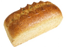 2110 Fransbrood, bus