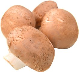 Kastanjechampignons 100 gram