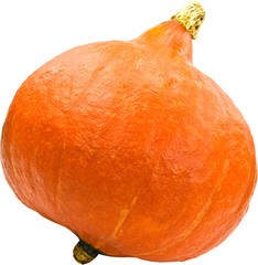 Pompoen oranje