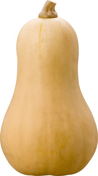 Pompoen butternut