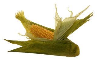 Suikermais