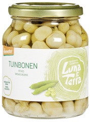 Tuinbonen in pot