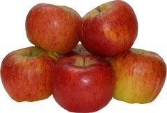 Appels Elstar per 100 gram
