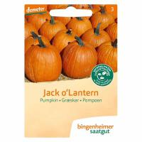 Pompoen Jack o'lantern