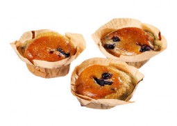 45095 Muffins bosbessen (4)