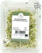 Kiem Broccoli