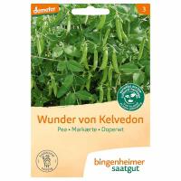 Doperwt wonder von Kelvedon