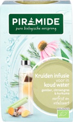 Infusie voor koude thee - gember, citroengras & kurkuma