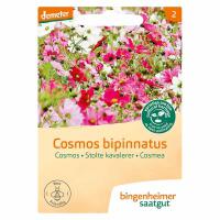 Cosmea bipinnatus
