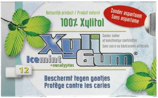 Kauwgom Icemint