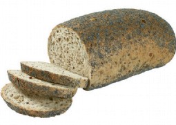 1045 5-zadenbrood vloer
