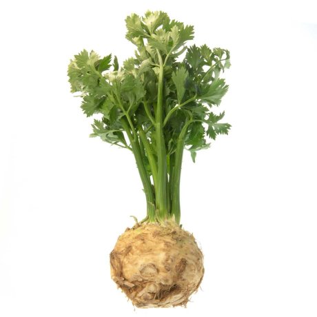 Knolselderij (met loof)