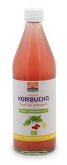 Kombucha groene thee & bloesem