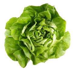 Kropsla