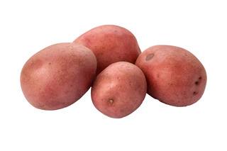 Aardappelen Alouette NIEUW per kg