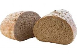 Munsterlander