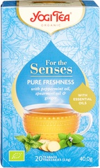 FTS Pure freshness - pepermunt gember