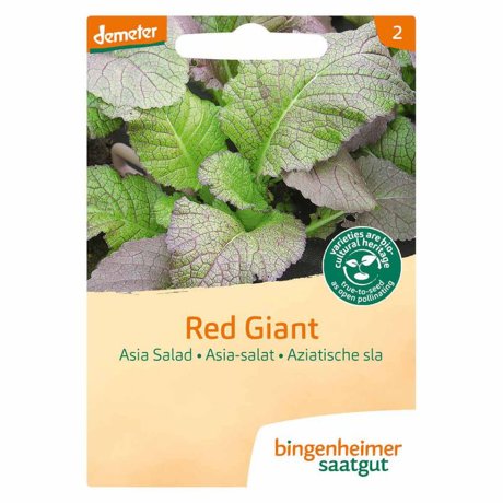 Aziatische sla red giant