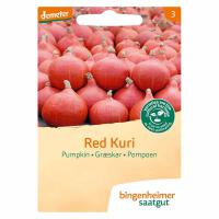 Pompoen red kuri hokkaido