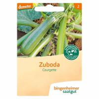 Courgette Zuboda