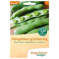 Tuinboon hangdown grunker