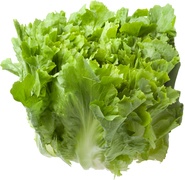 Andijvie per 100 gram