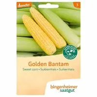 Suikermaïs golden bantam