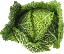 Groene kool / savooie kool