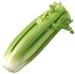 Bleekselderij / groenselderij