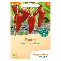 Paprika pantos