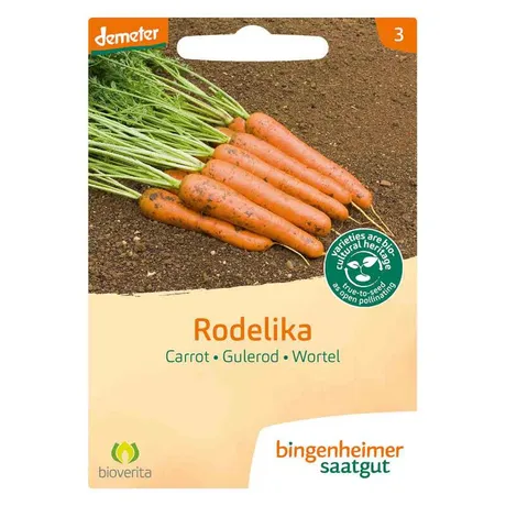 Wortel rodelika