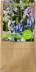 Bloembollen Hyacinthoides hispanica mix