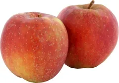 Appels - Boskoop per 100 gram