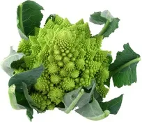 Romanesco