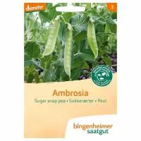 Suikererwt peul ambrosia
