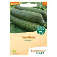 Courgette serafina