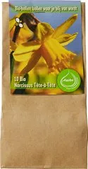 Bloembollen Narcissus tete-a-tete