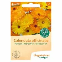 Goudsbloem calendula off. (niet leverbaar)